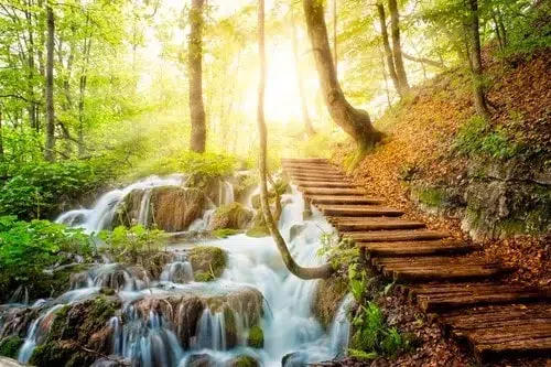 3-Deep-forest-stream-with-crysta