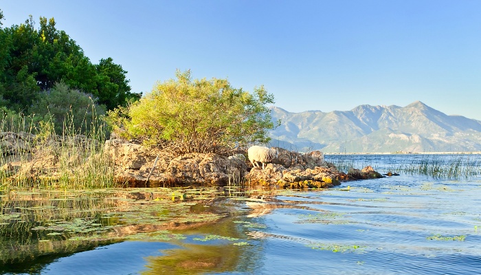 Lake-Skadar-Blog-Section-Image