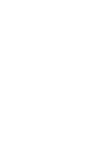 LogoIconImg