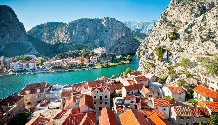 Omis-Blog-Section-Image