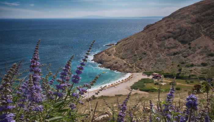 Stara-Baska