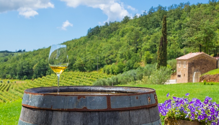 Winery-in-Istria