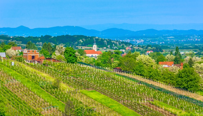 Zagorje-Blog-Section-Image