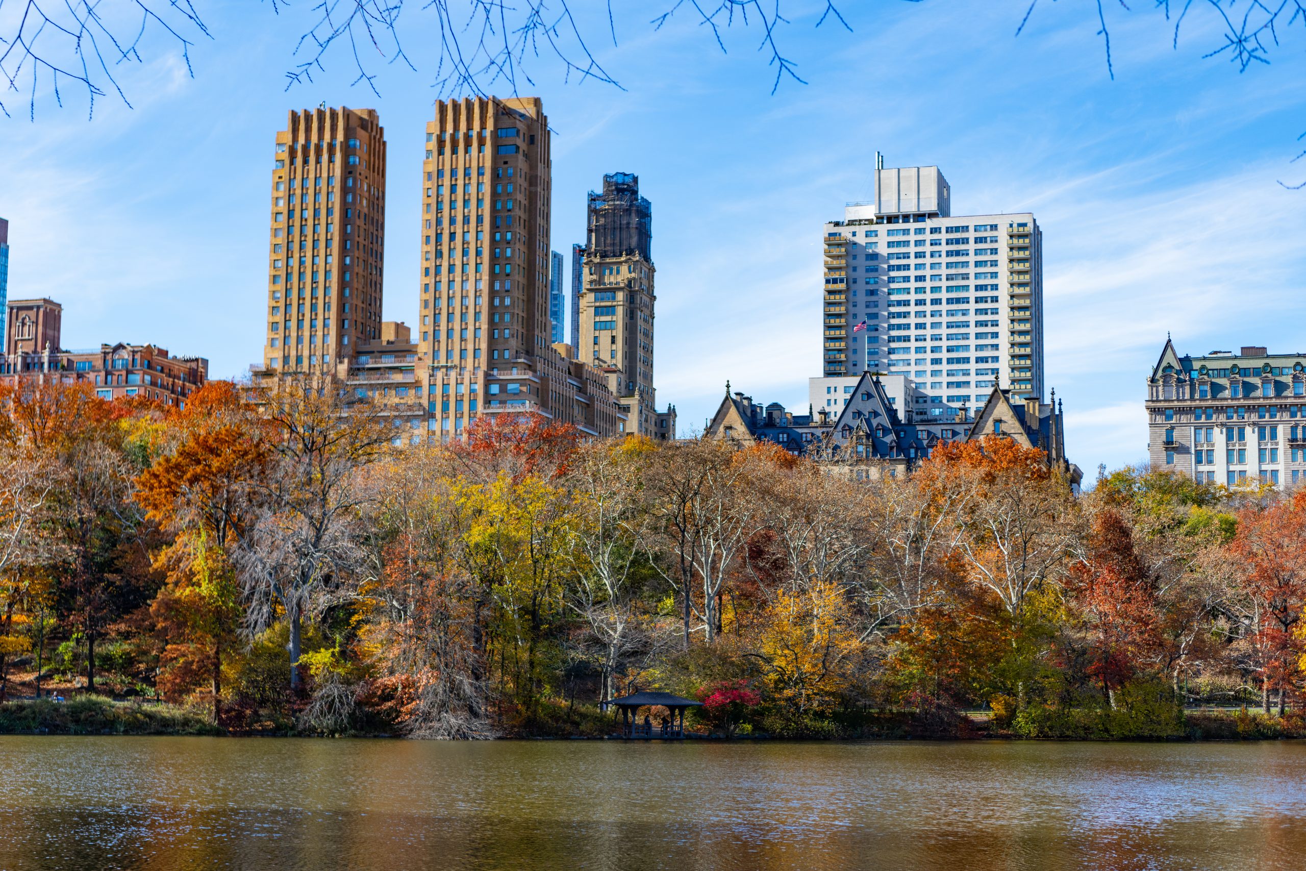 Seasonal cityscape in fall season. Autumn beauty of nature. Nature in city park. Fall cityscape in park. Autumn landscape. Nature fall landscape. Autumnal season in central park. Autumn breeze