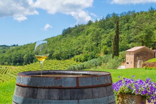 Istria-Wine-Croatia